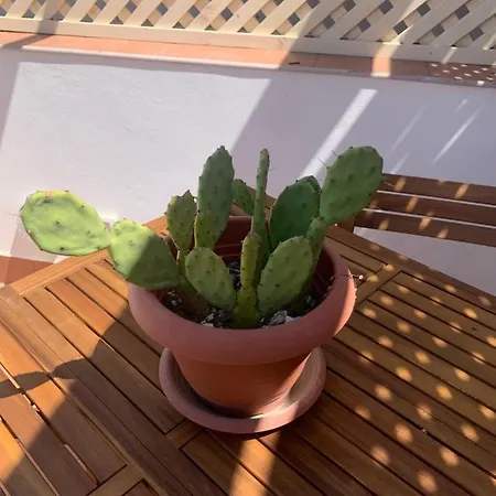 Casa Filemone * سيراكوزا