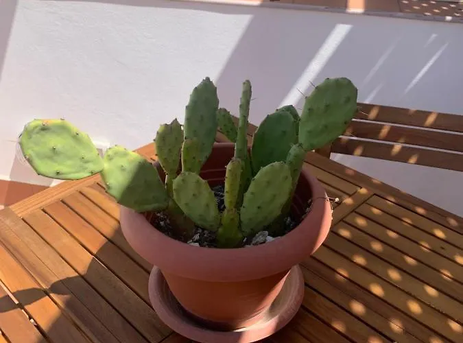 Casa Filemone * סירקוזה